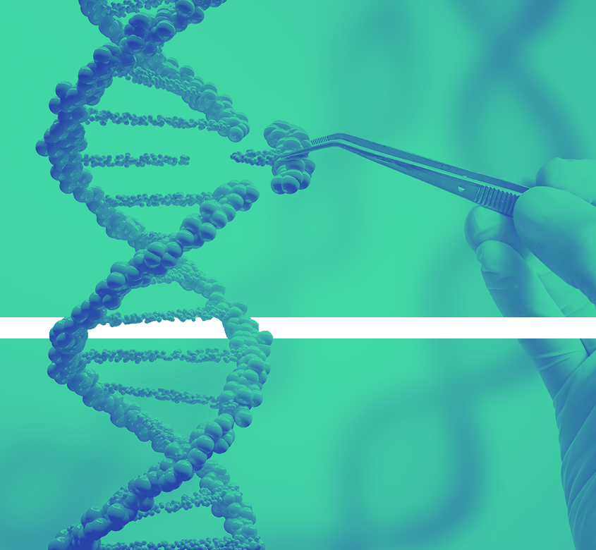 genetics
